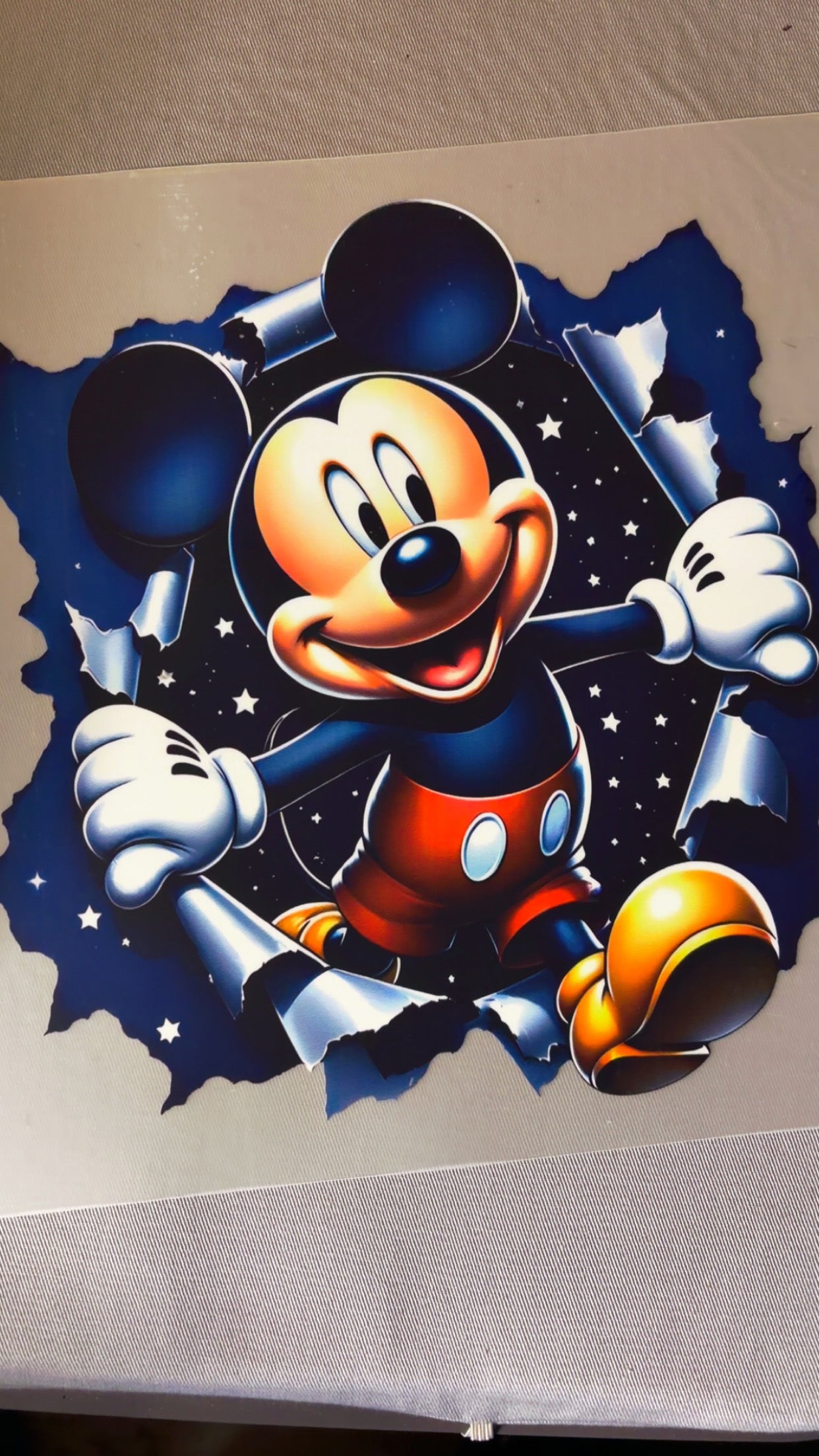 #43 - Mickey