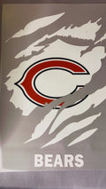 #67 - Chicago Bears