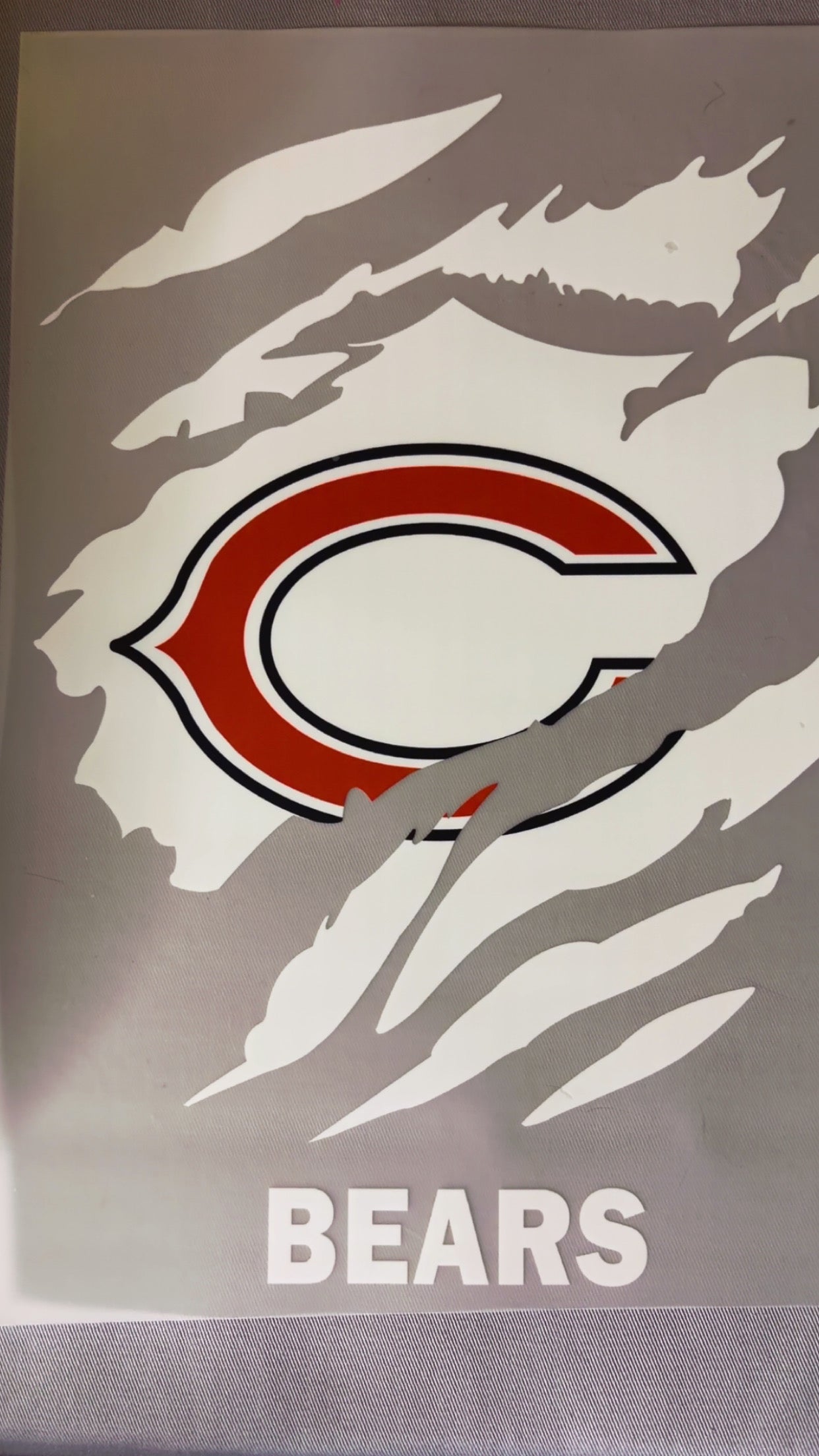 #67 - Chicago Bears